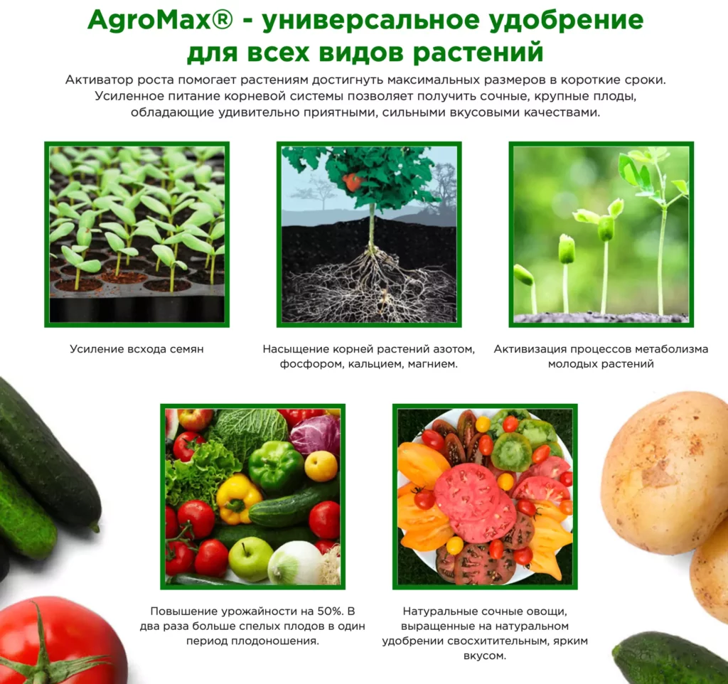 AgroMax – официальный сайт производителя средства для всхожести семян